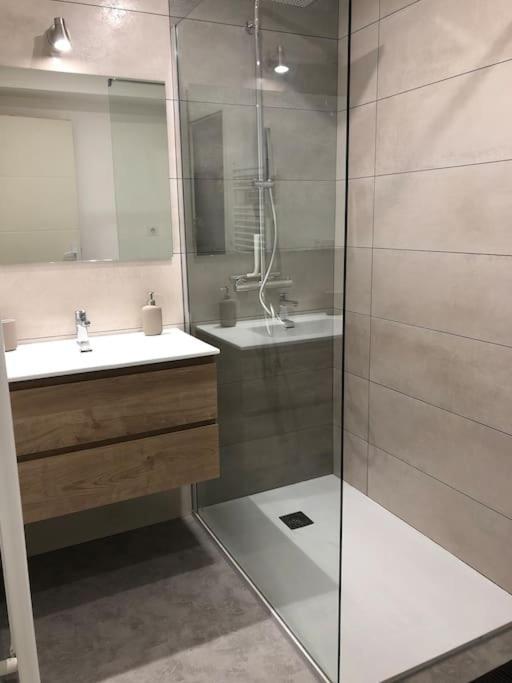 Appartement Moderne & Lumineux 40M2 Centre Luxeuil ภายนอก รูปภาพ