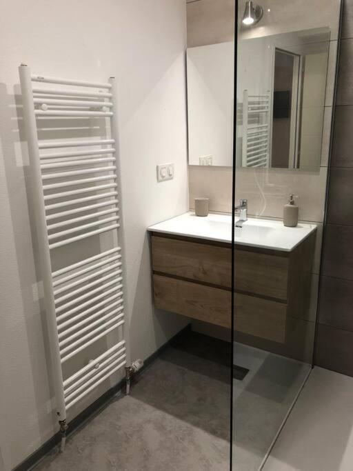 Appartement Moderne & Lumineux 40M2 Centre Luxeuil ภายนอก รูปภาพ